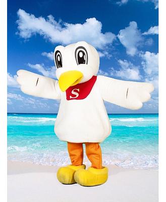 さぎプーの画像