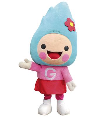 とろ火ちゃんの画像