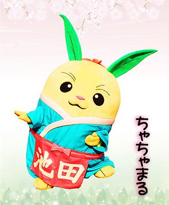 ちゃちゃまるの画像