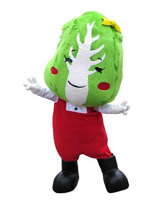 はくちゃんの画像