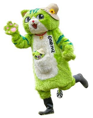 のらねこくんの画像