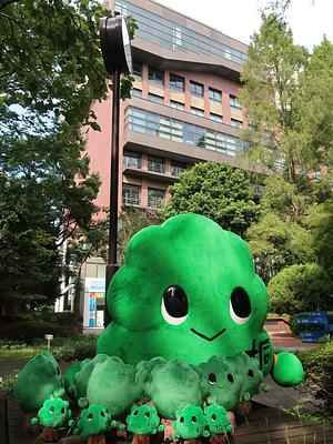 桐子の画像
