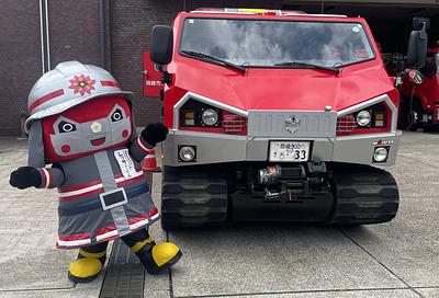 レッサーくんの画像