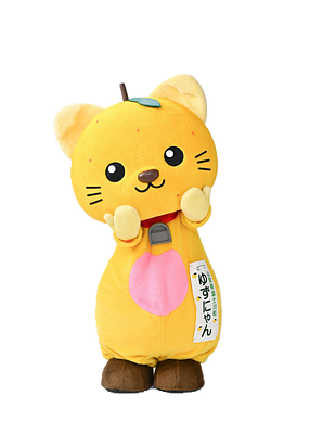 ゆずにゃんの画像