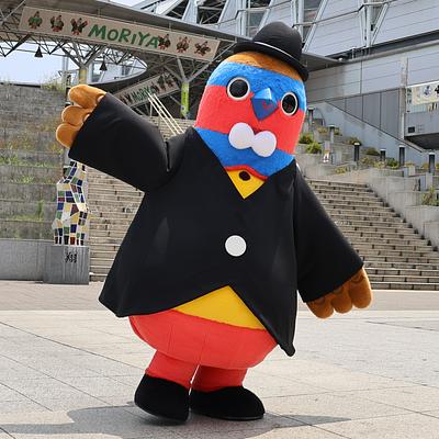 こじゅまるの画像