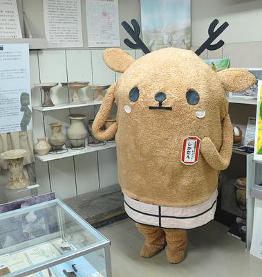 しかたんの画像