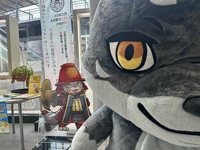 マカミの画像