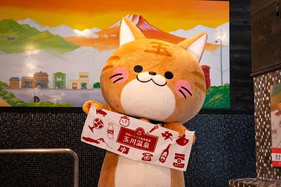 玉ちゃんの画像