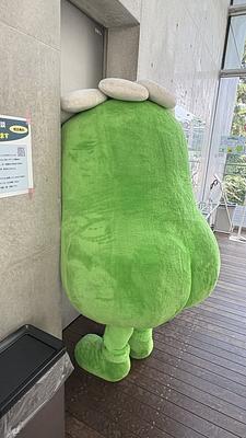 さがっぱ・ジョーの画像