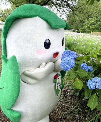 くわまるの画像