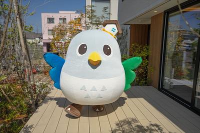 ばどたんの画像