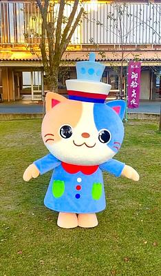 ミフネコの画像