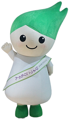 ひょっこりちゃんの画像