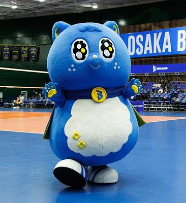 パピネスの画像