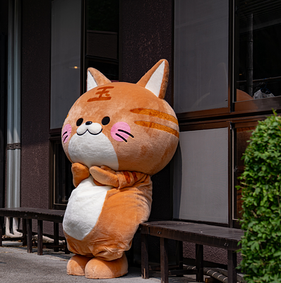 玉ちゃんの画像