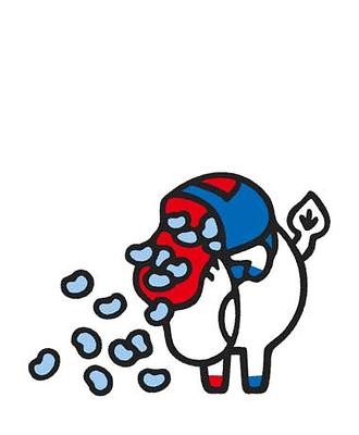 しらかばんの画像