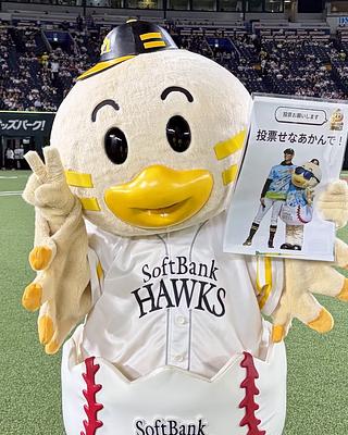 ひな丸の画像